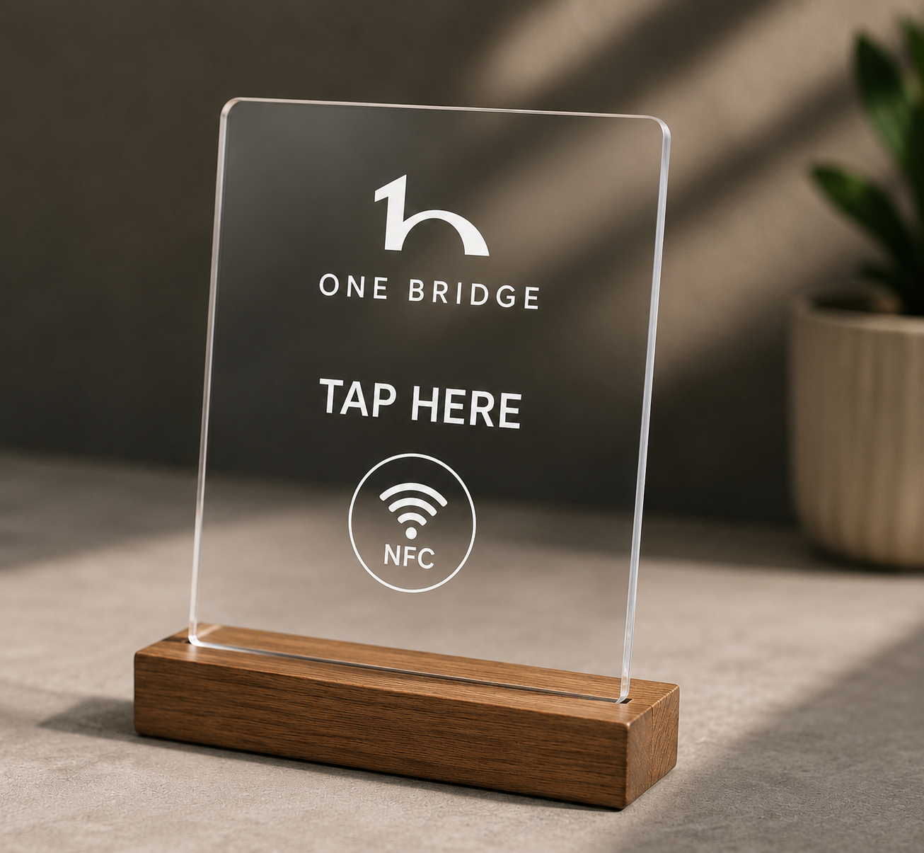 Acrylic Bridge